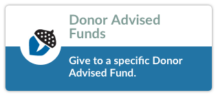 Donor Advised Fund Give Button